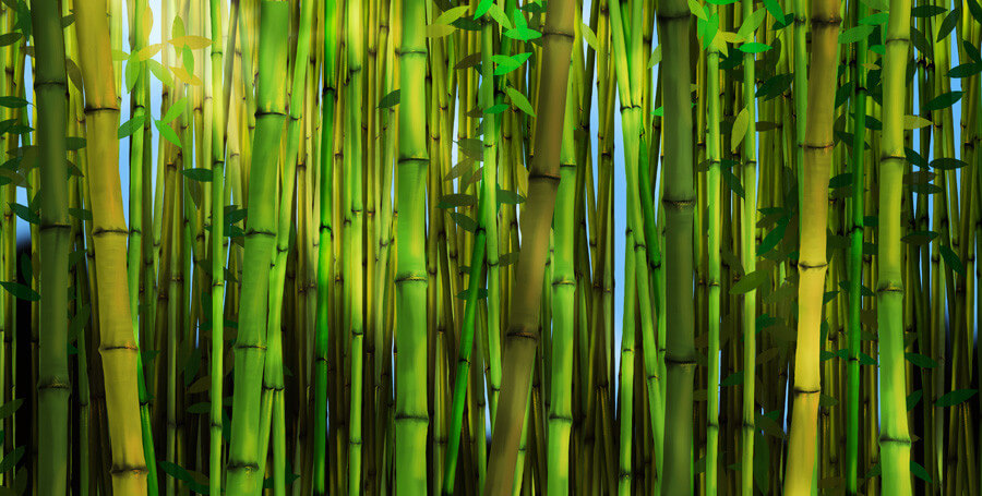 What is Bamboo Viscose and What Does It Do?